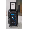 12 Inch Bluetooth Speaker with Trolley and LED (CX-12D)